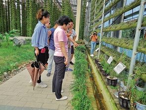 溫州開展節(jié)前旅游行風(fēng)專項(xiàng)督查 探索石斛種植助力景區(qū)村莊新變化